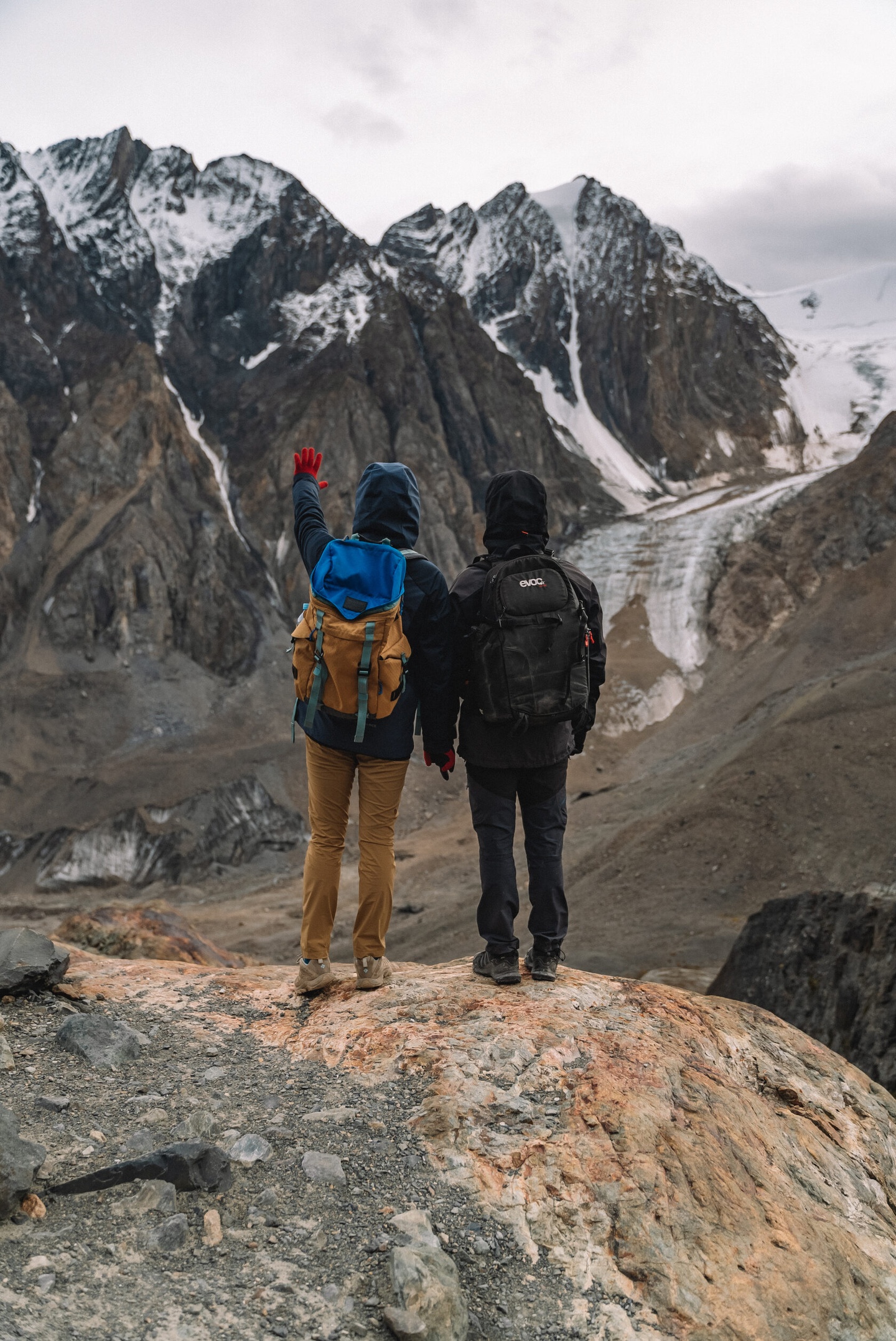 Альпака - фото 100