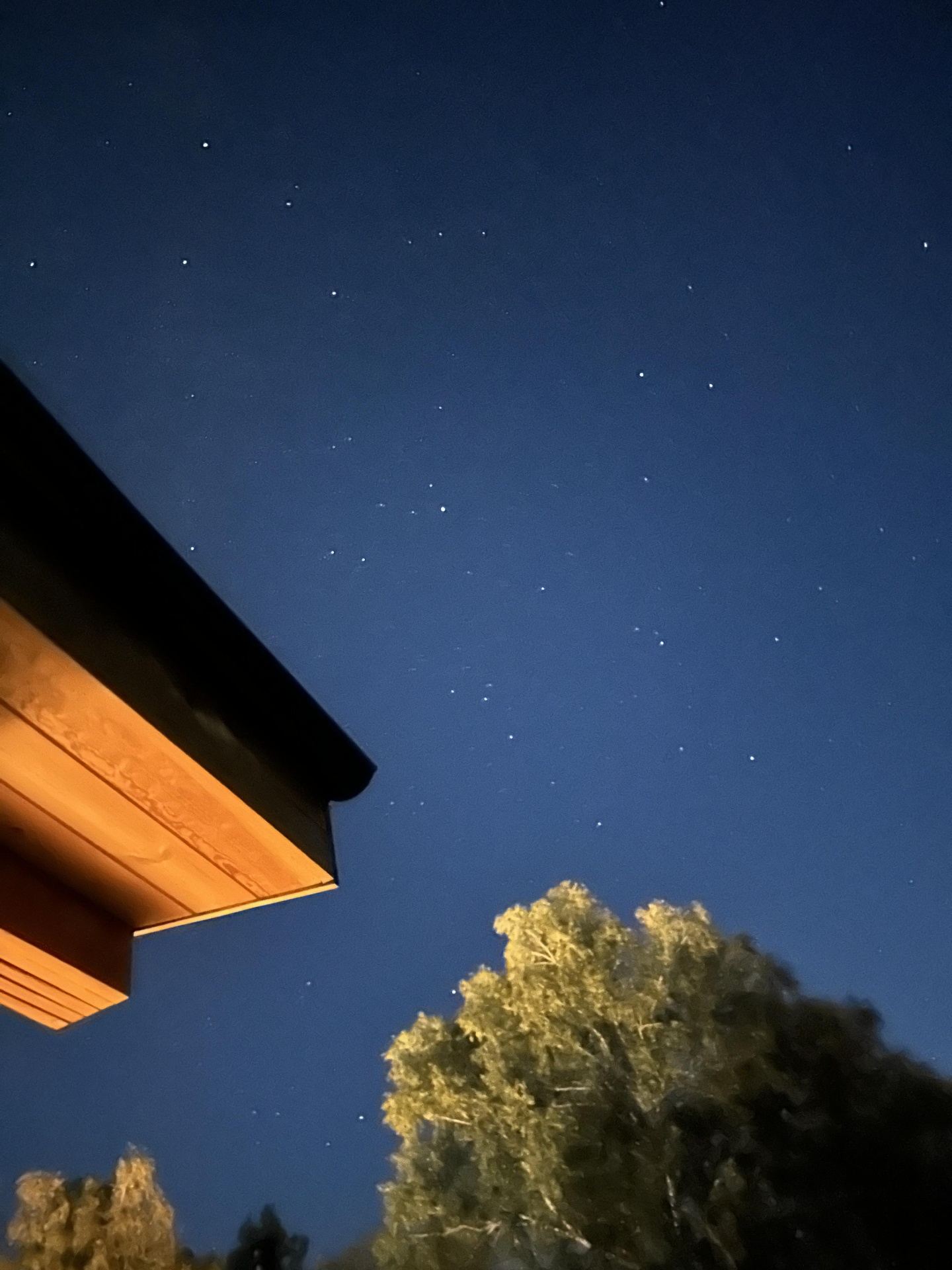 Альпака - фото 104