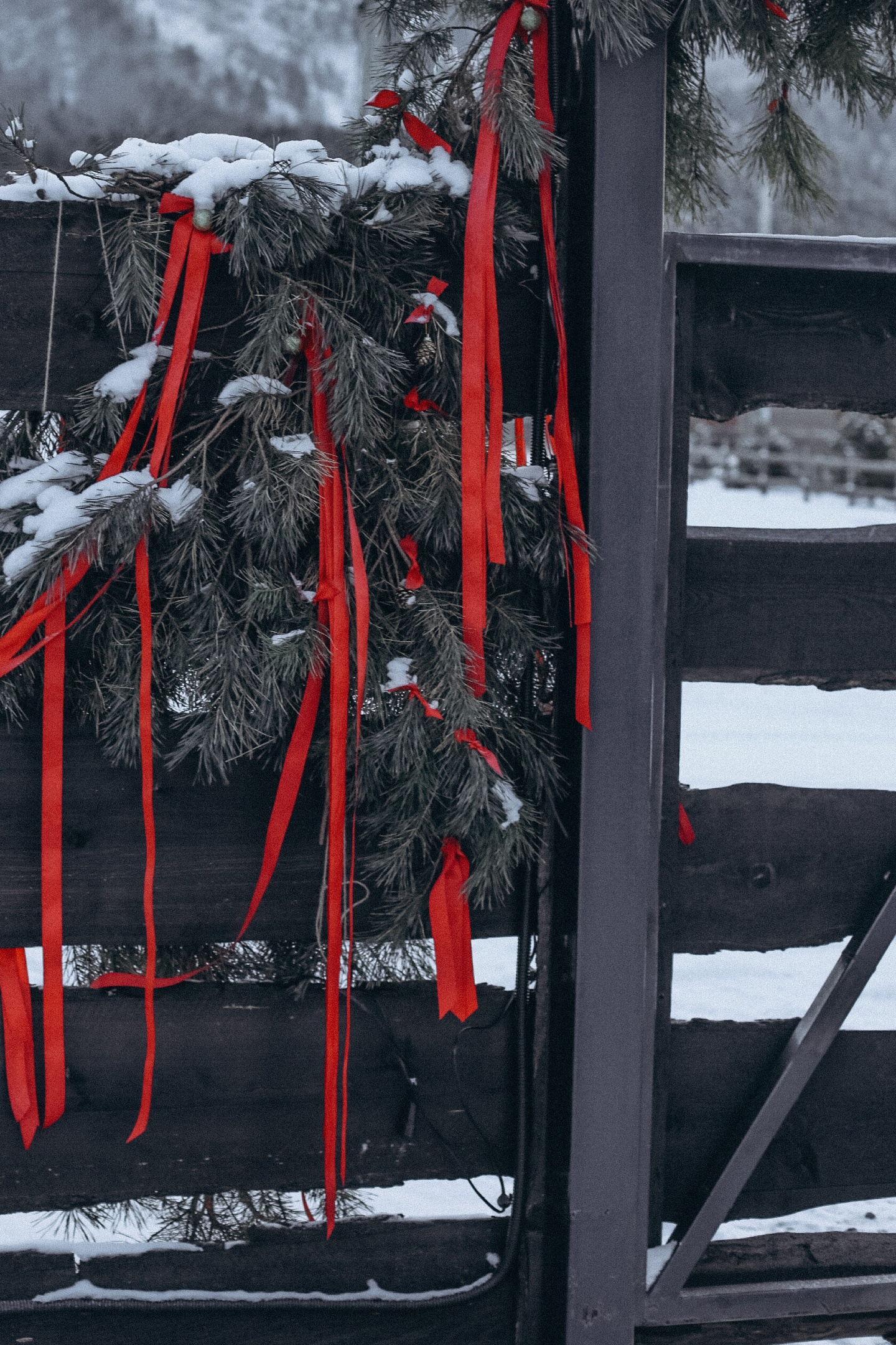 Альпака - фото 107