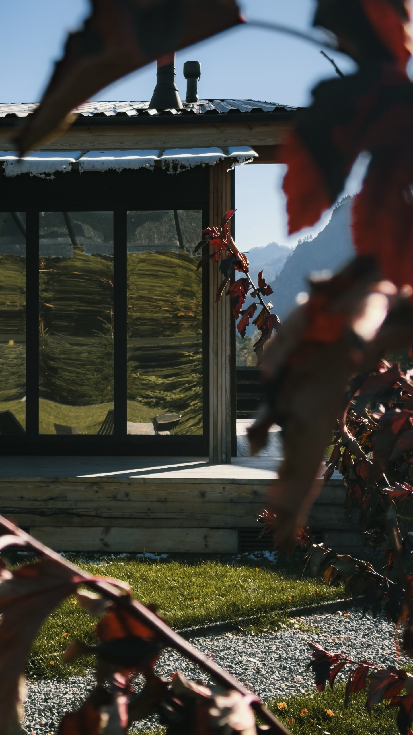 Альпака - фото 108