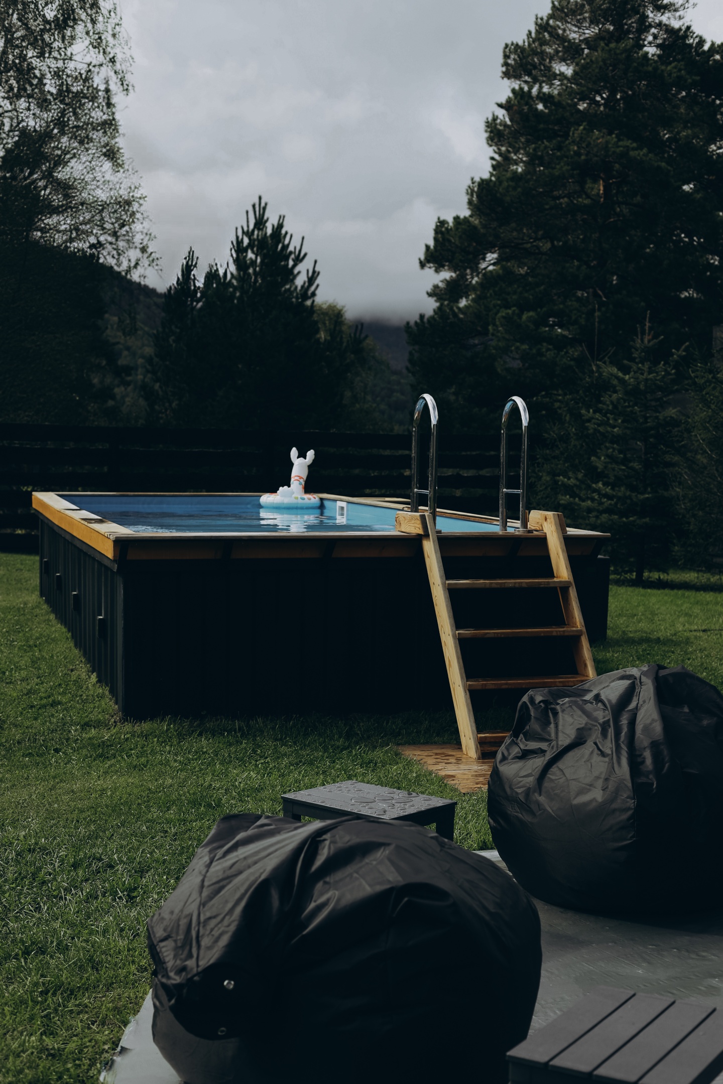 Альпака - фото 110