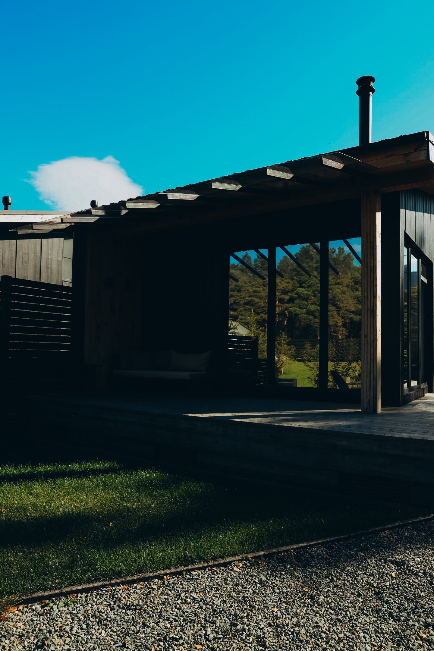 Альпака - фото 113