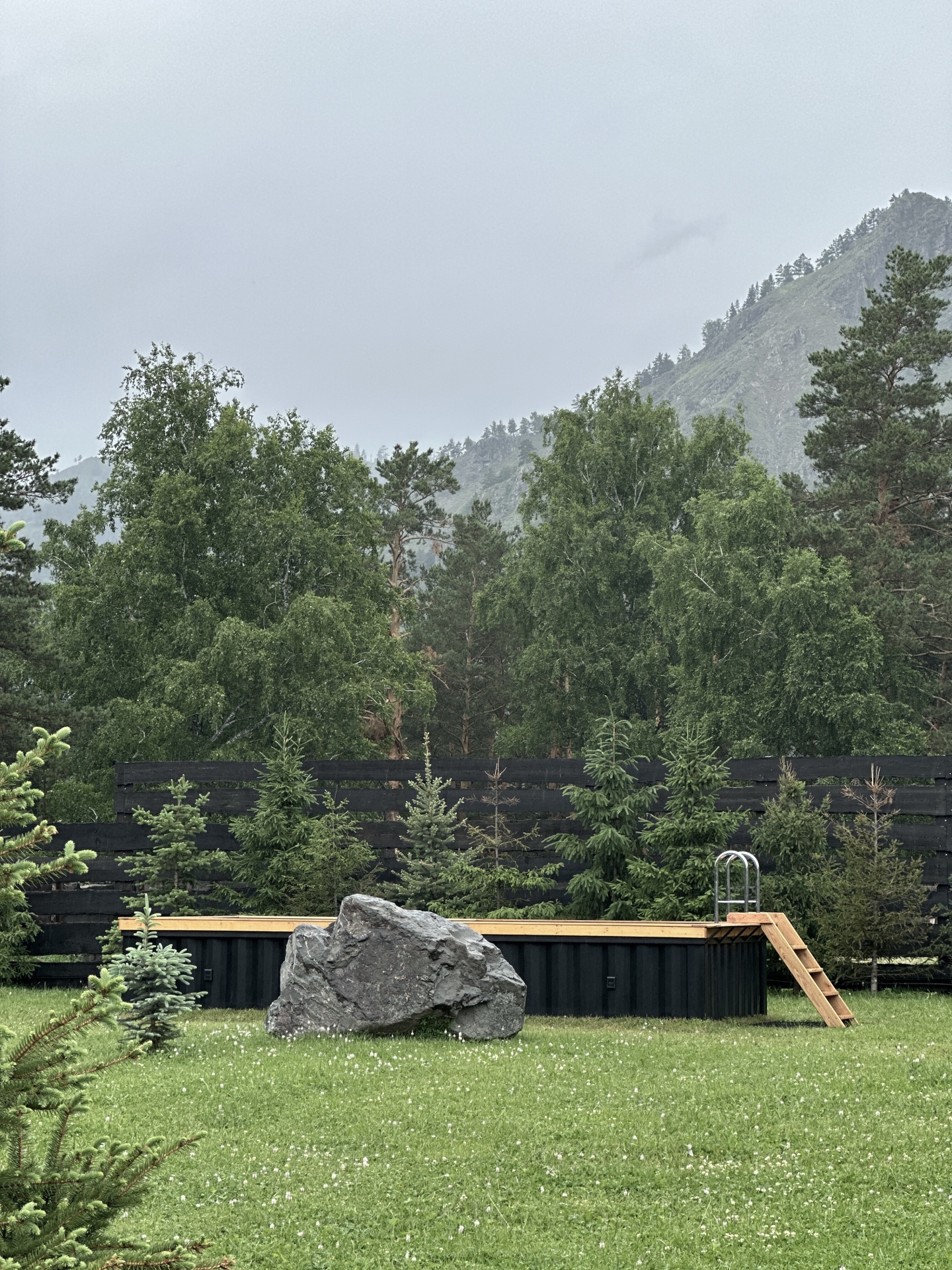 Альпака - фото 115