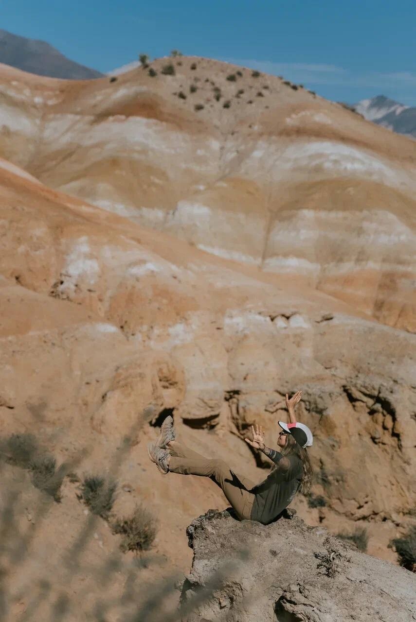 Альпака - фото 116