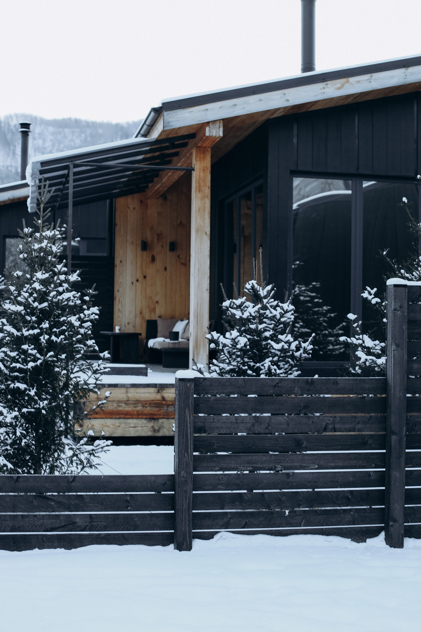 Альпака - фото 118