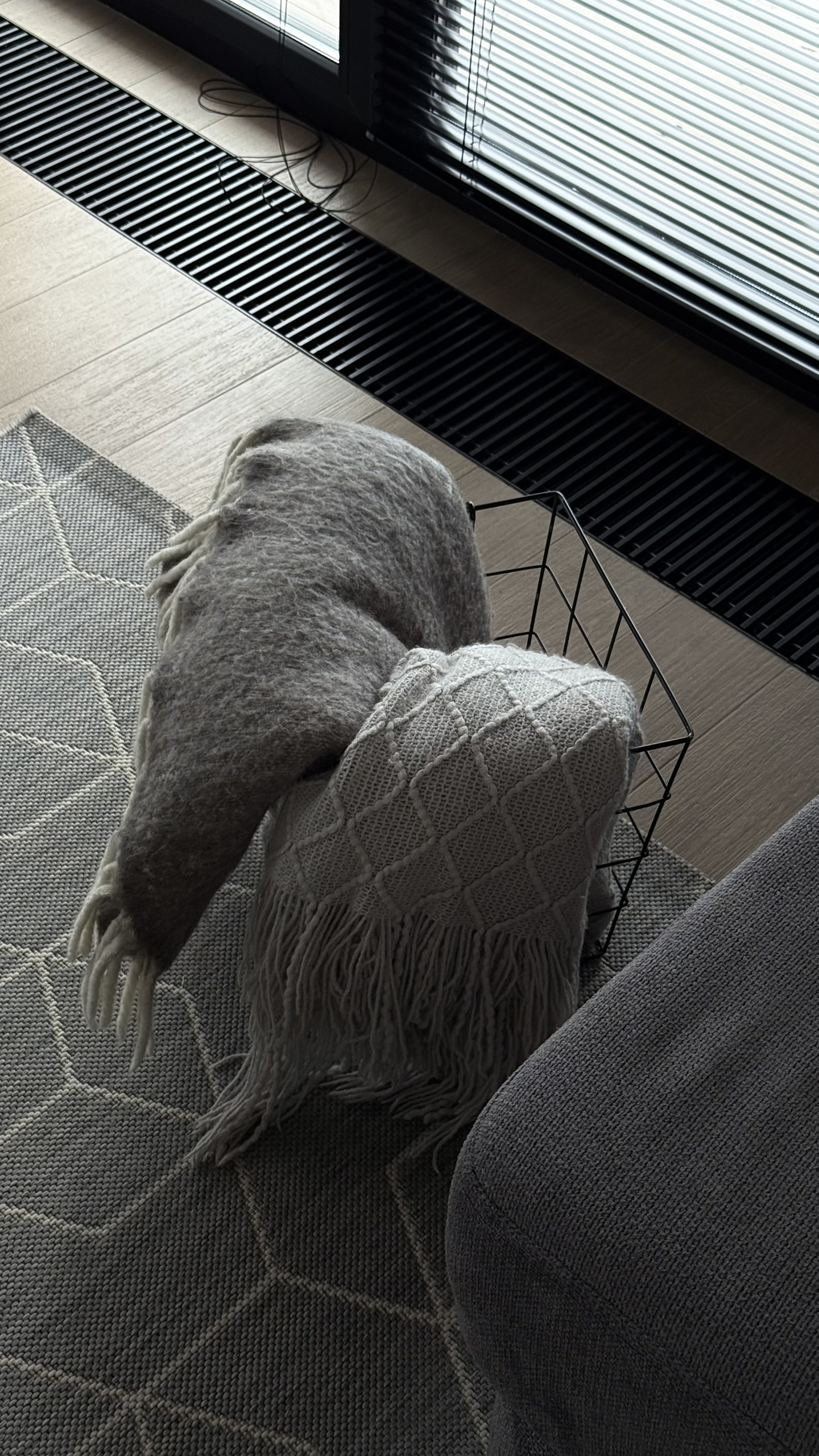 Альпака - фото 126