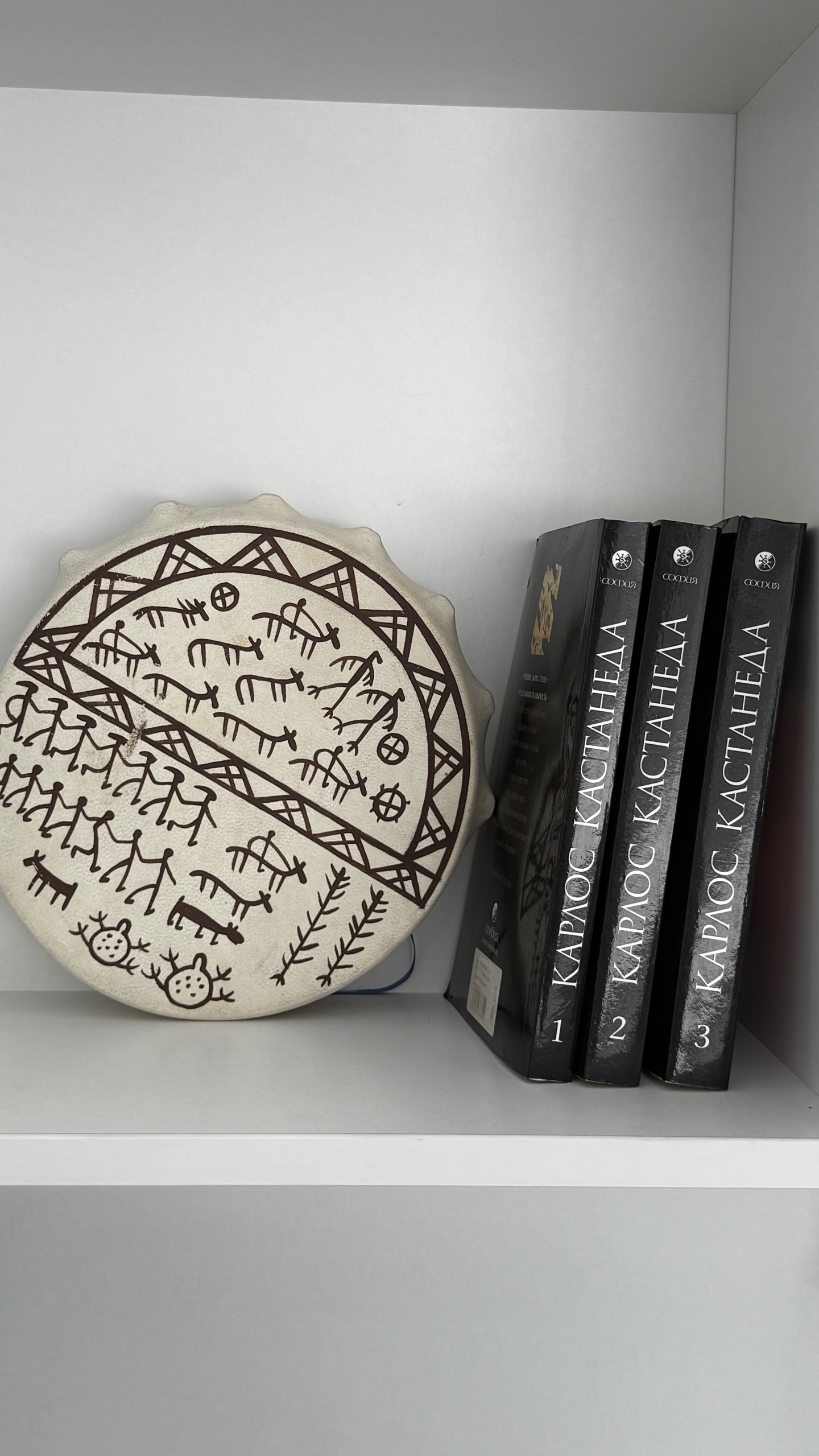 Альпака - фото 131