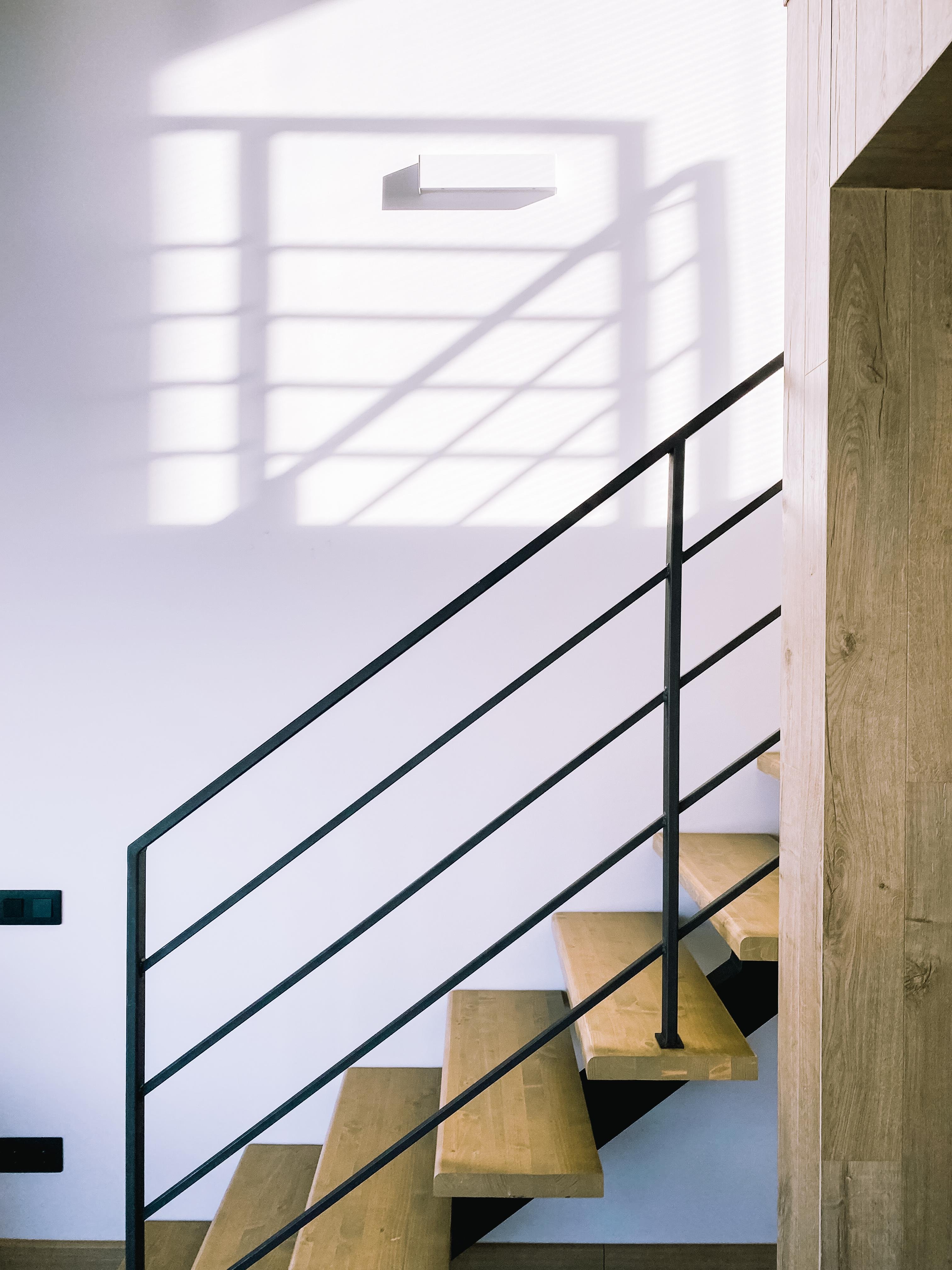 Альпака - фото 136