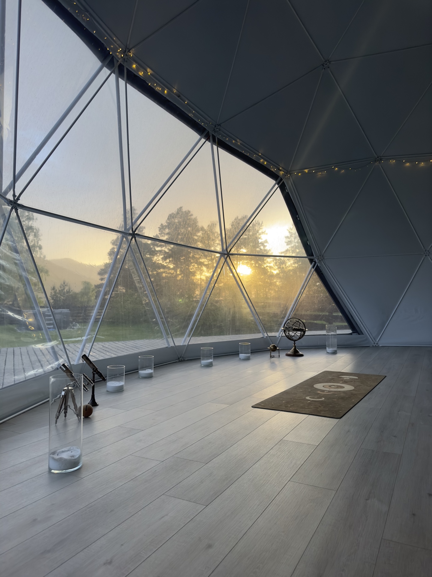 Альпака - фото 141