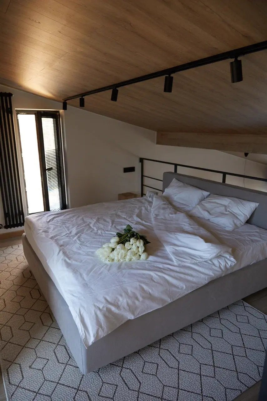 Альпака - фото 151