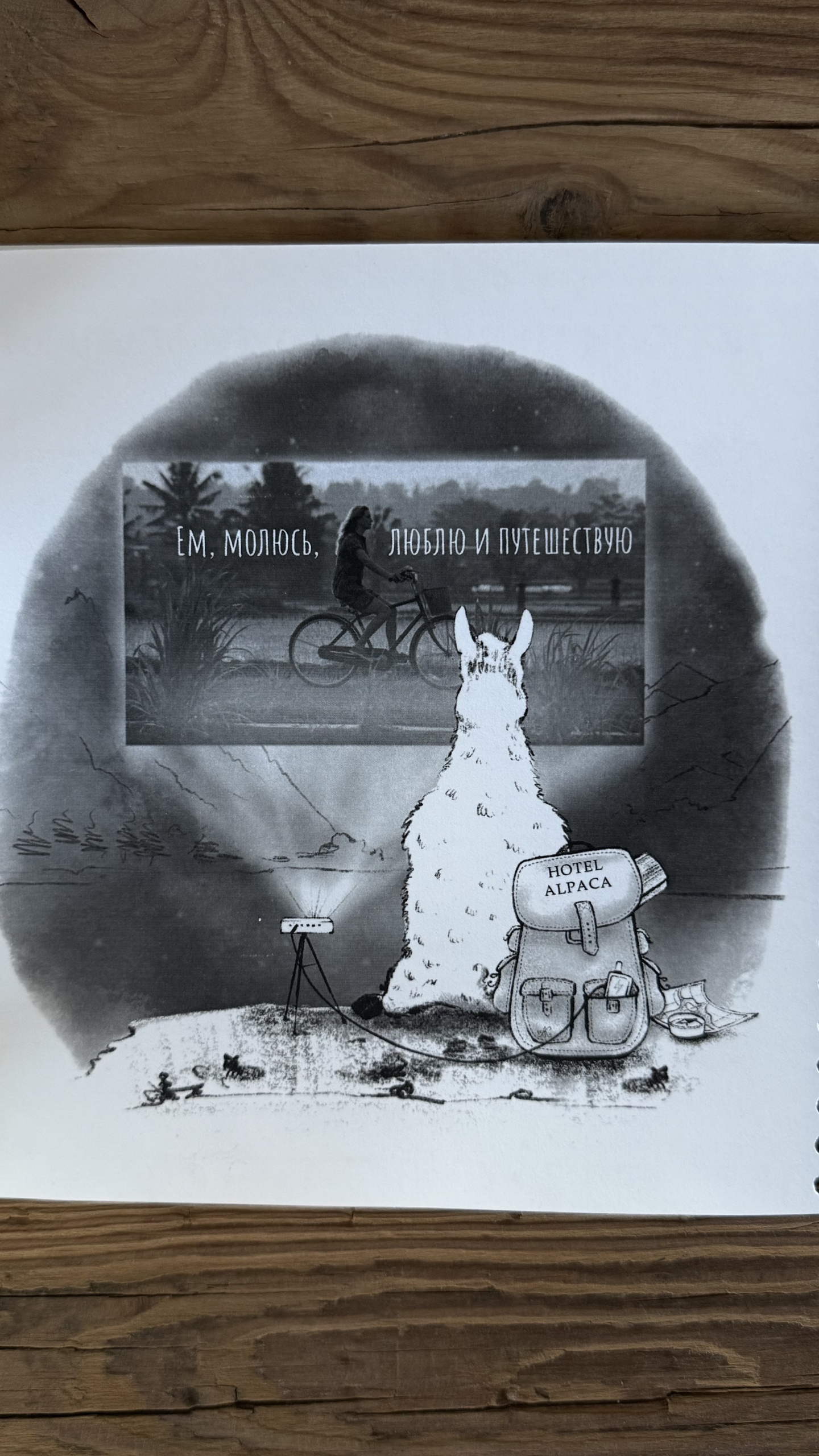 Альпака - фото 152