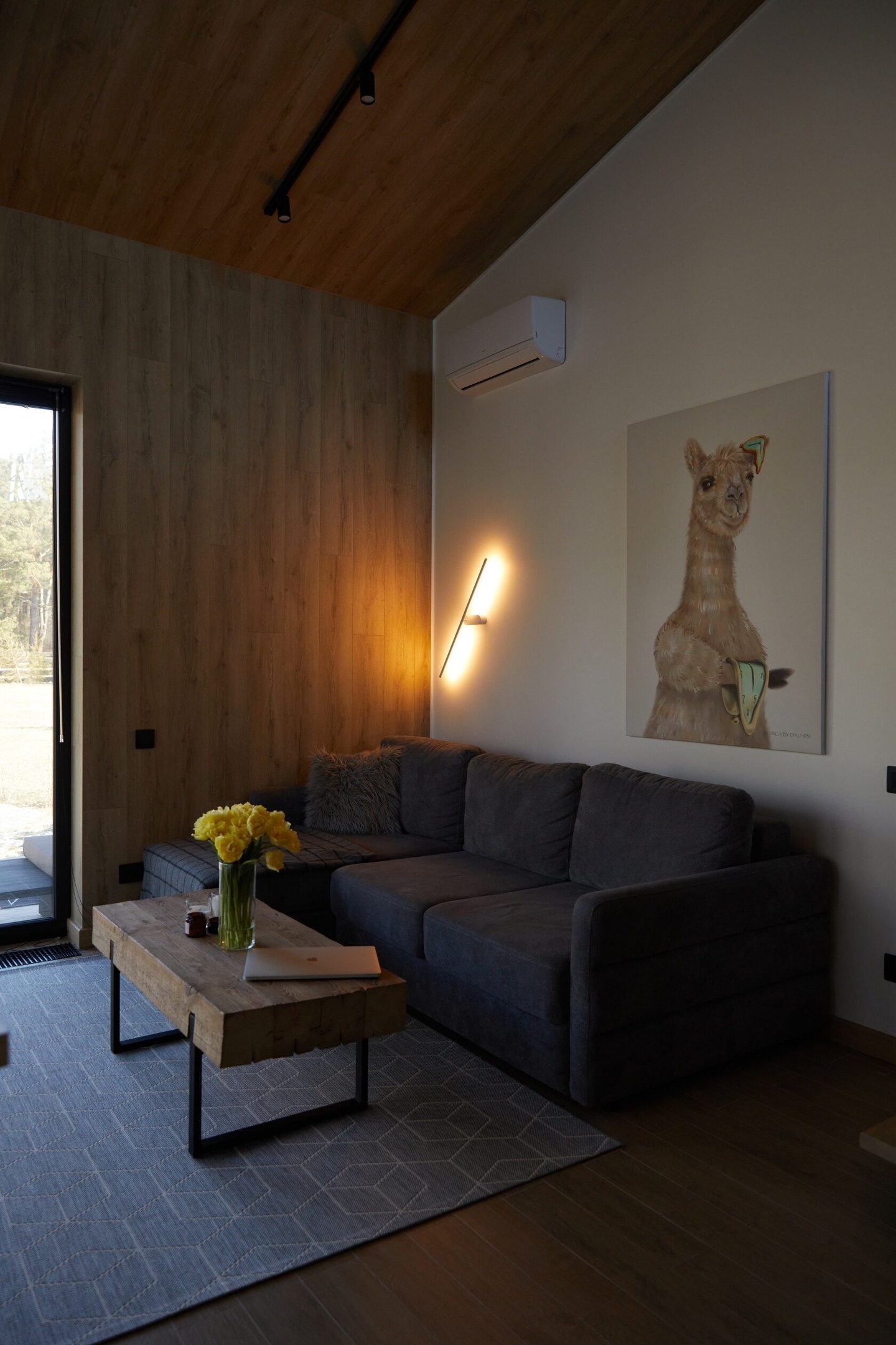 Альпака - фото 174