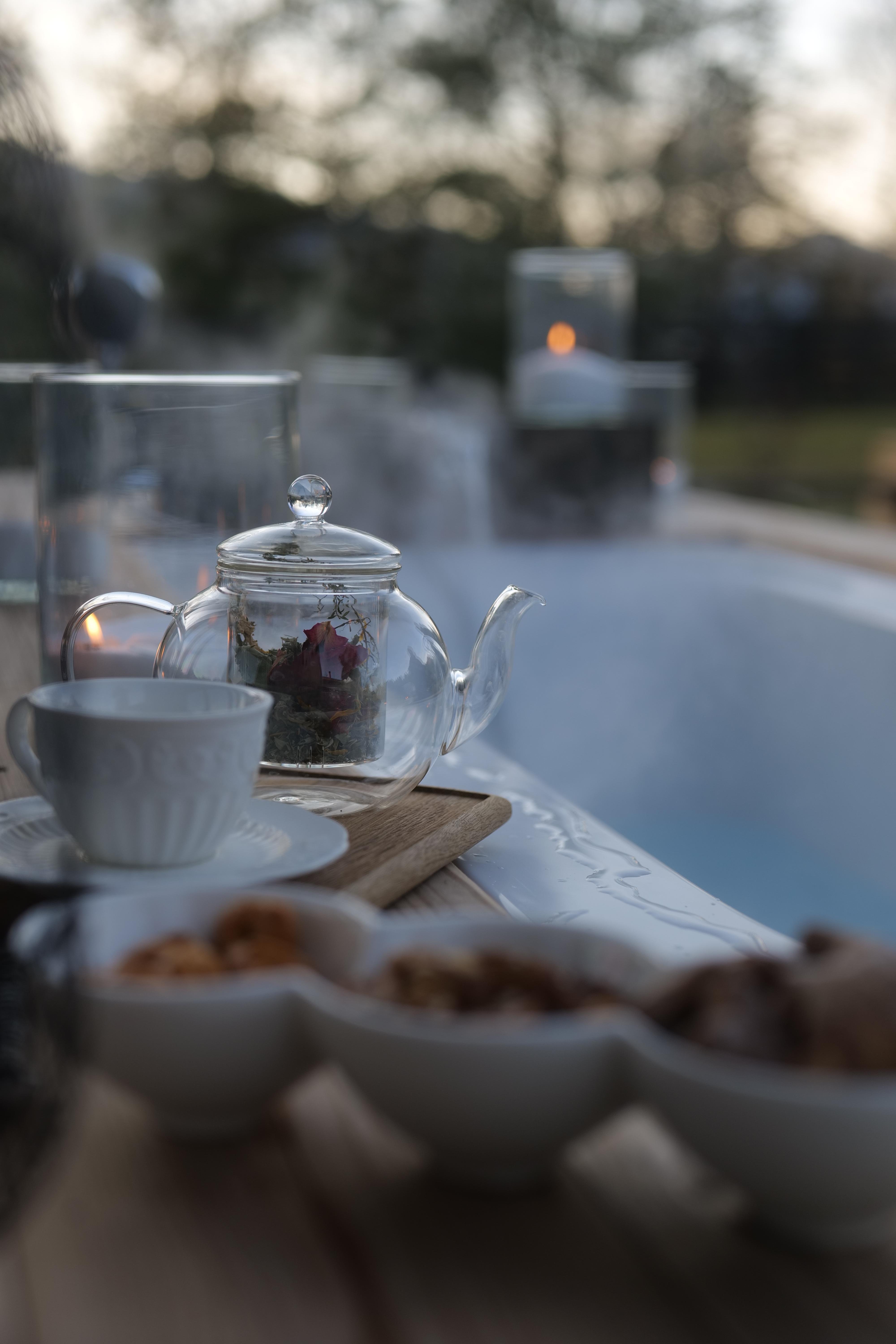 Альпака - фото 178