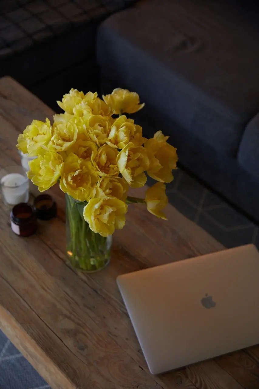 Альпака - фото 180