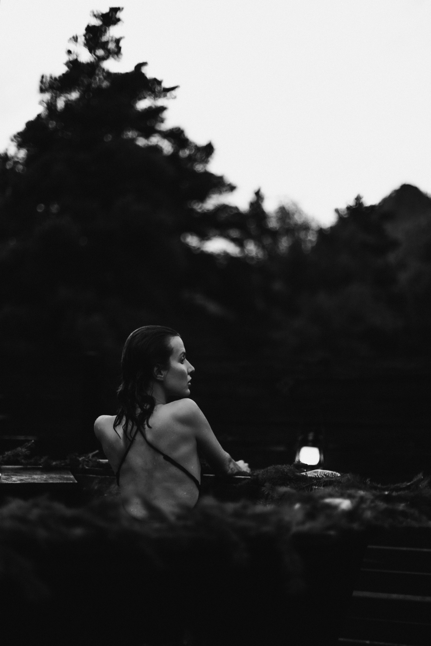 Альпака - фото 190