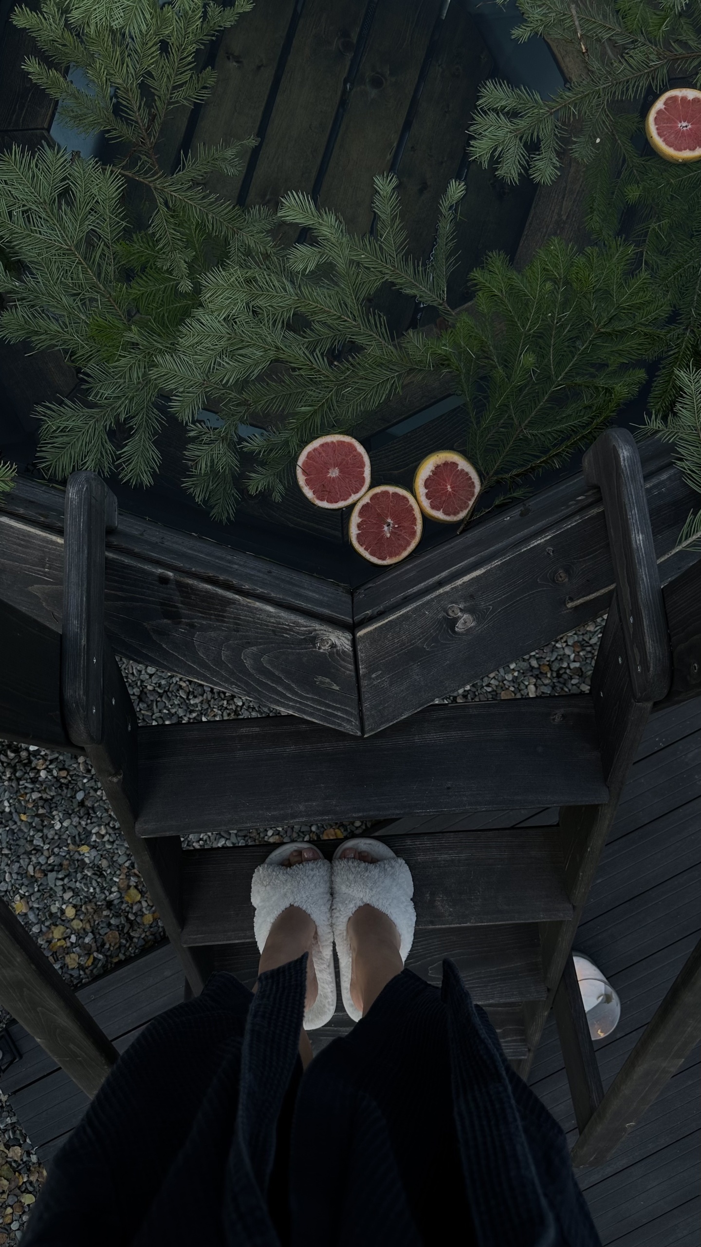 Альпака - фото 194