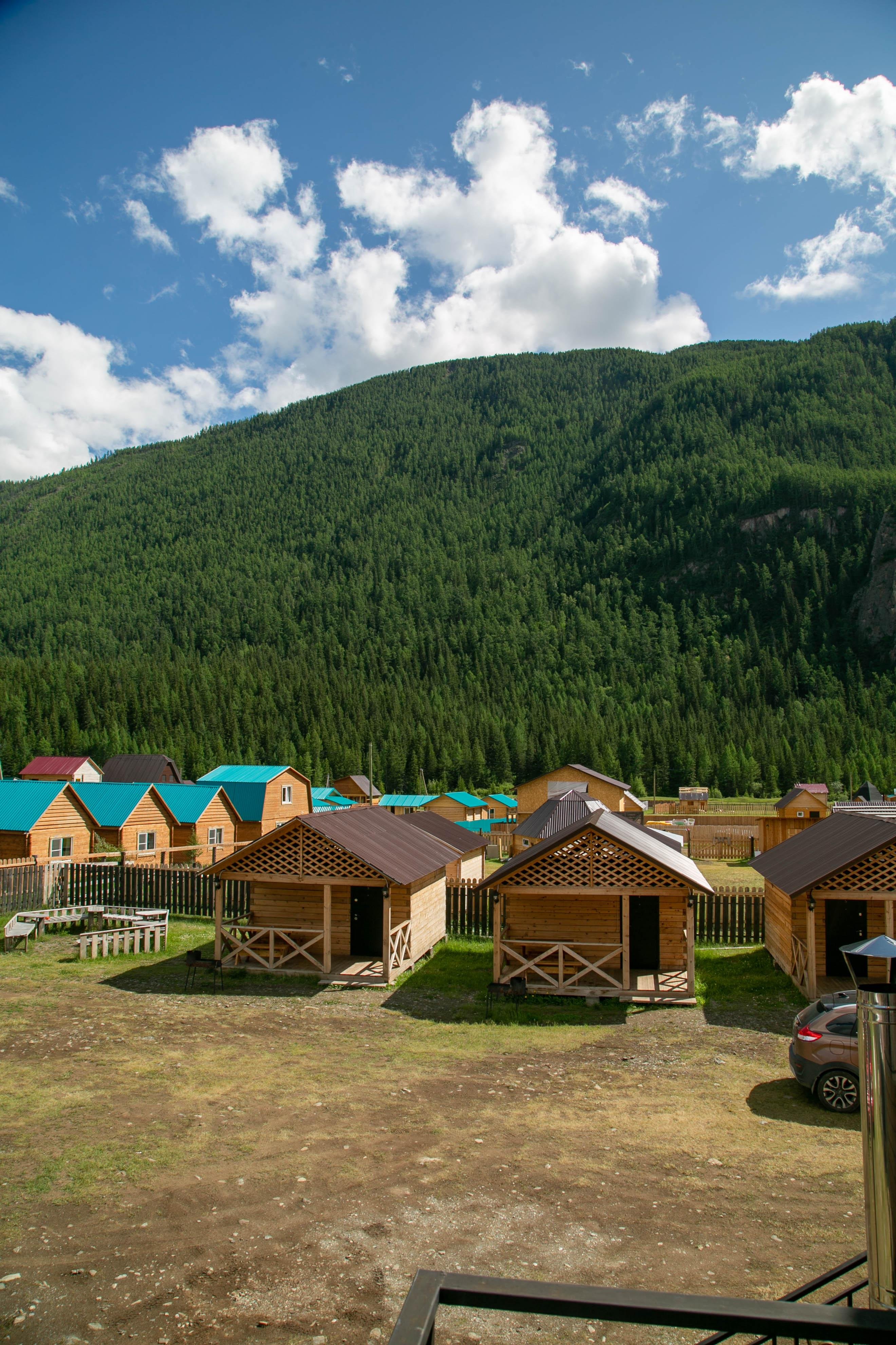 Алтайэкокедр - фото 26