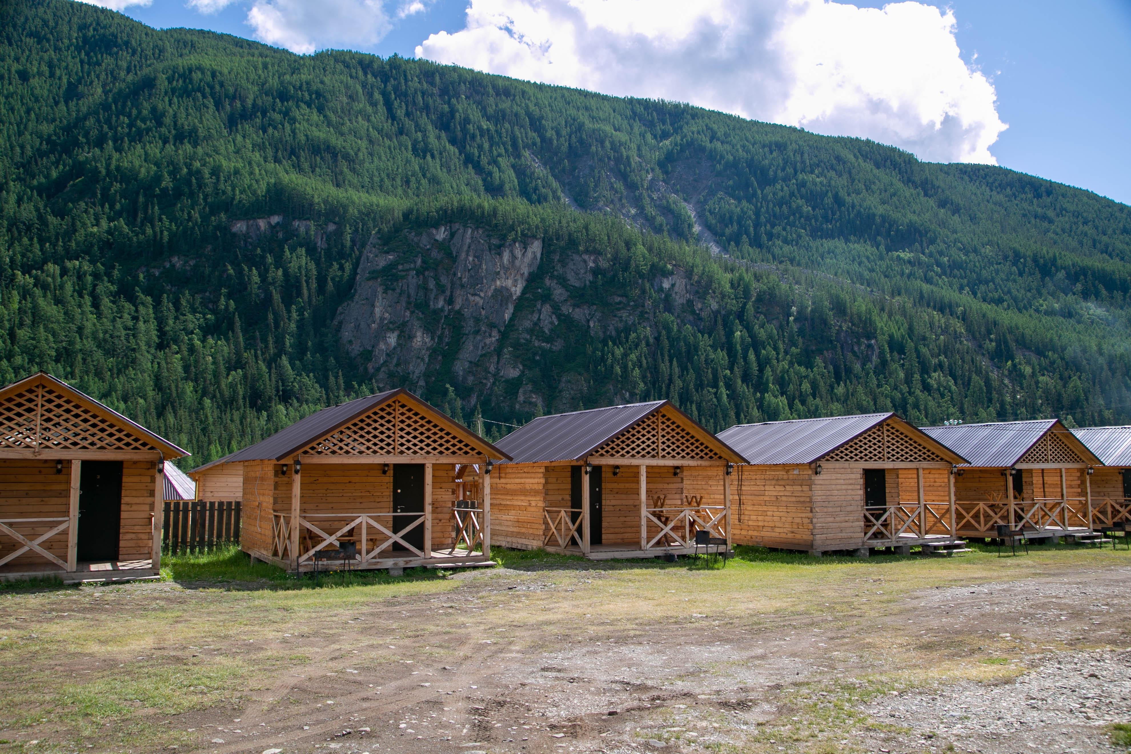 Алтайэкокедр - фото 34