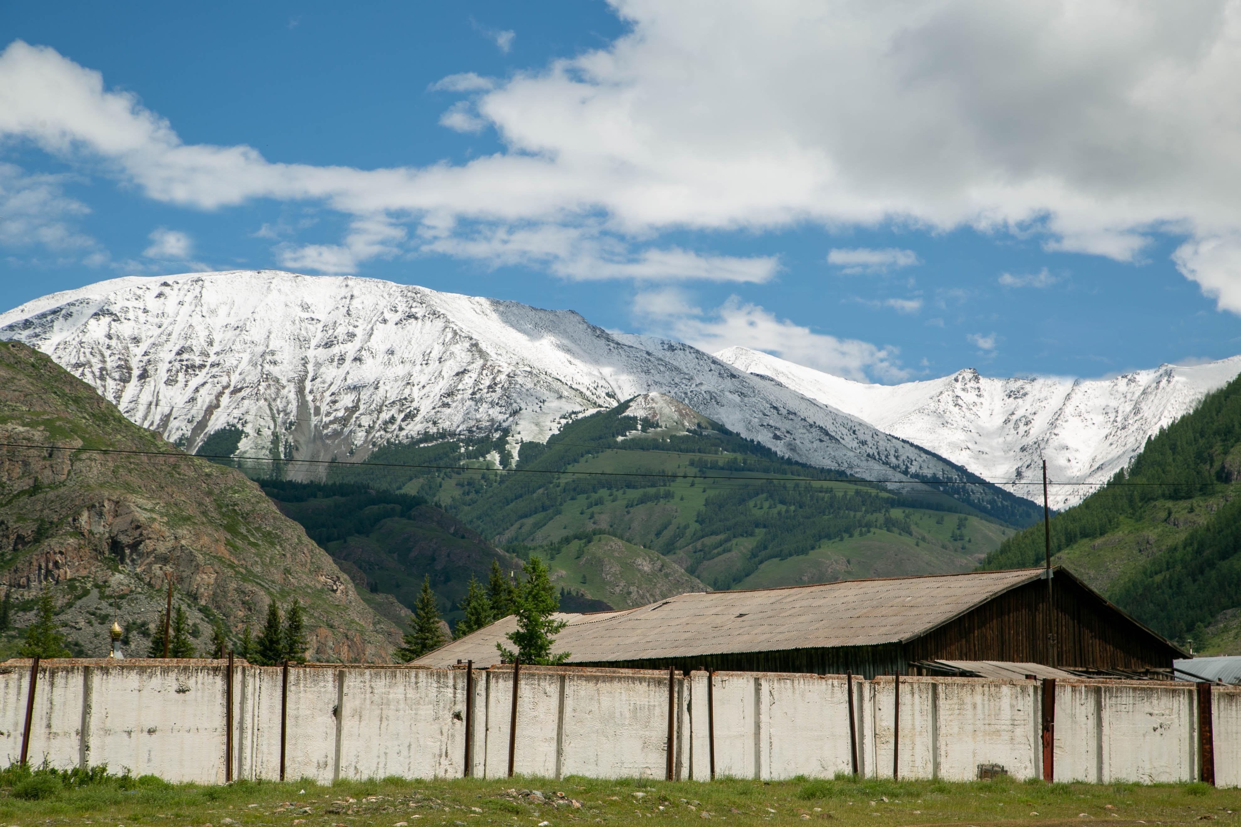 Алтайэкокедр - фото 40