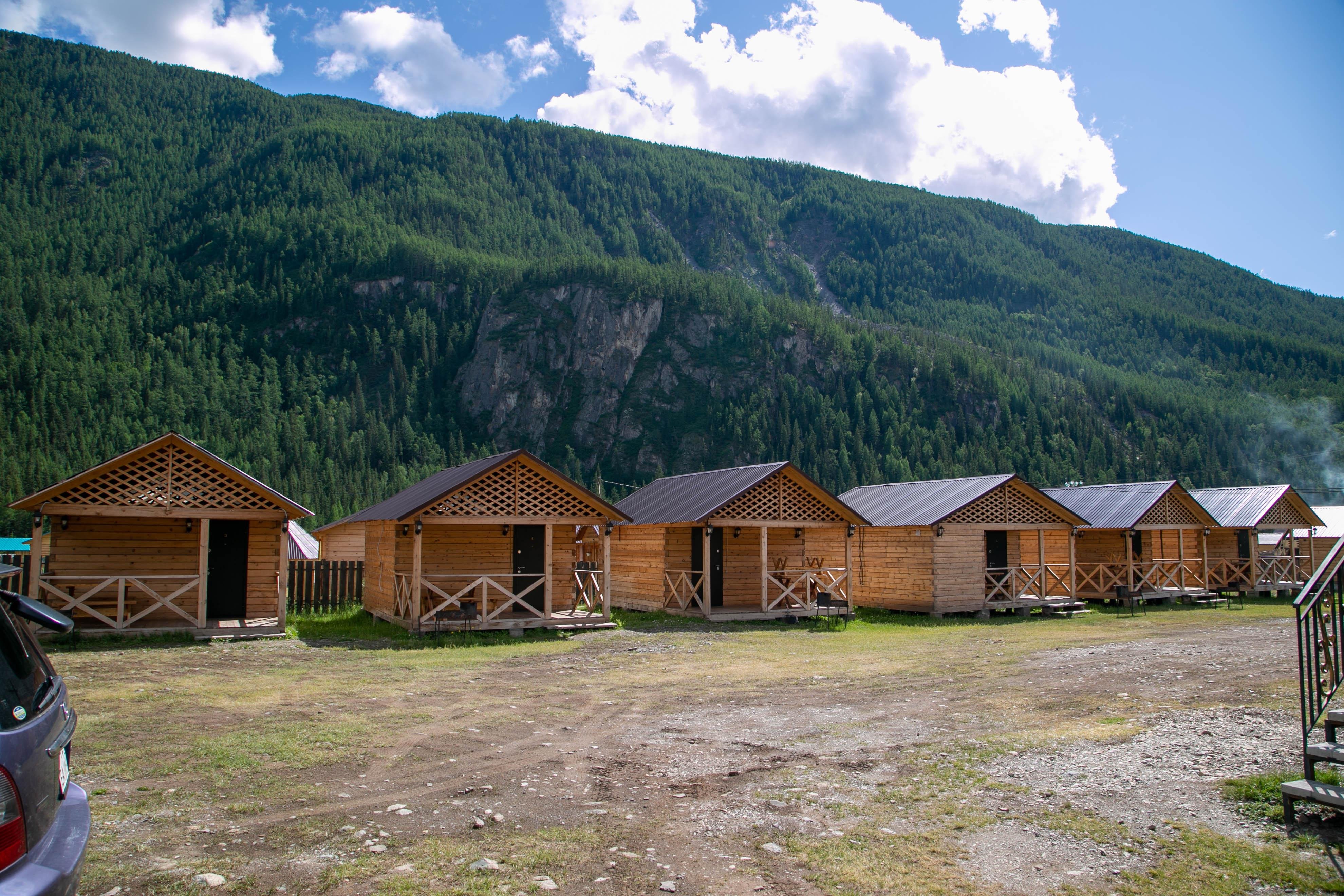 Алтайэкокедр - фото 42