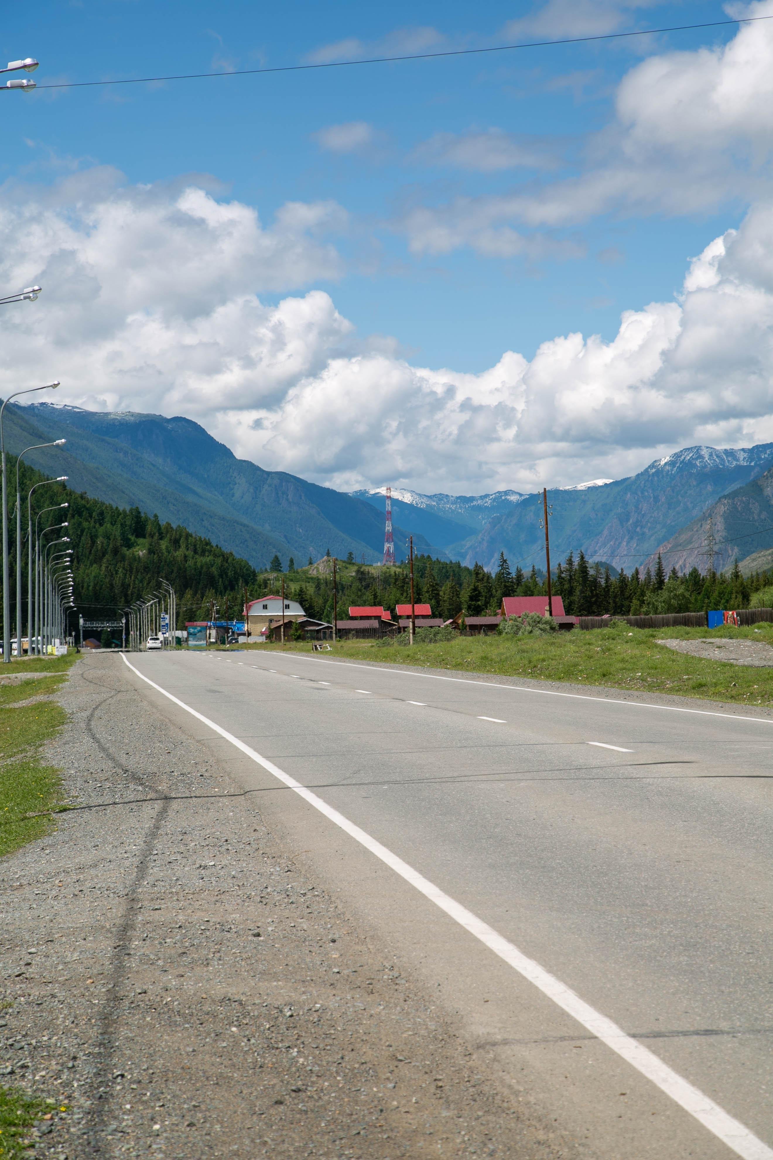 Алтайэкокедр - фото 49