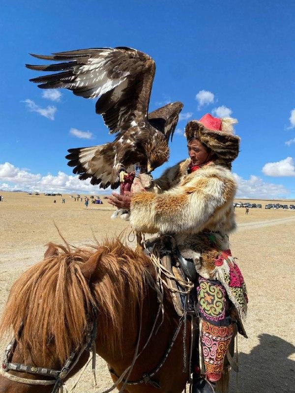 Алтайэкокедр - фото 50