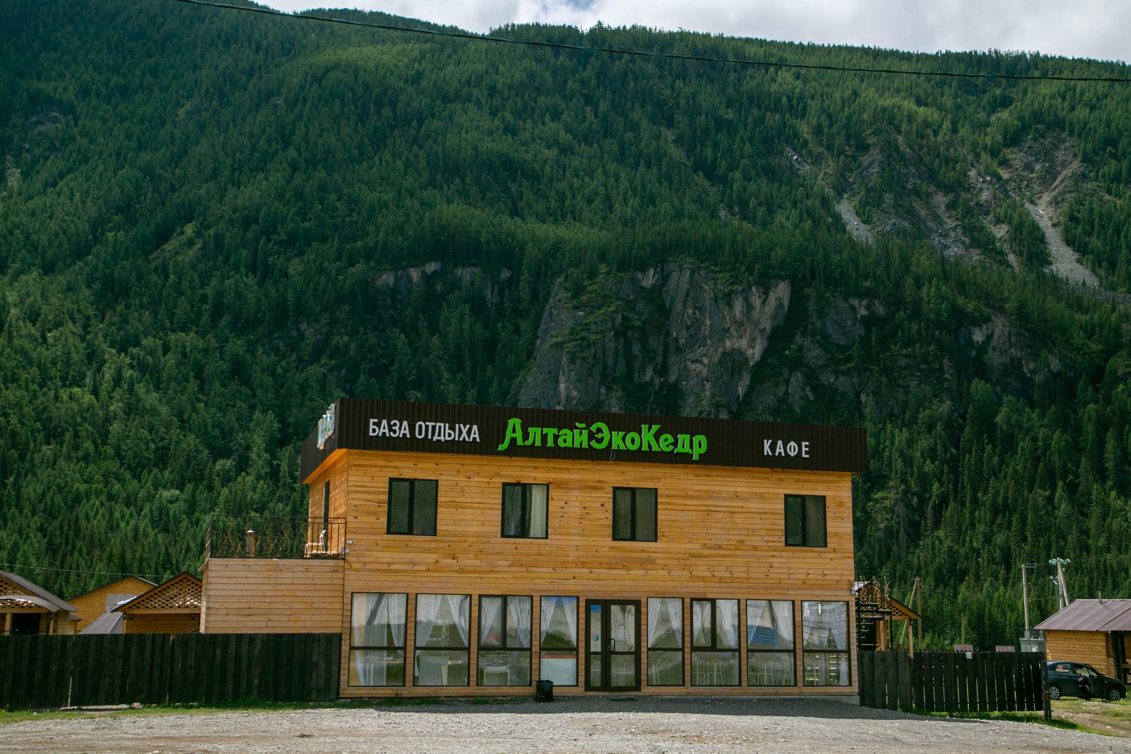 Алтайэкокедр - фото 52