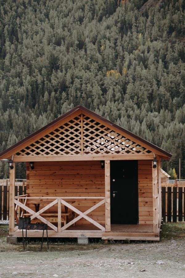 Алтайэкокедр - фото 58