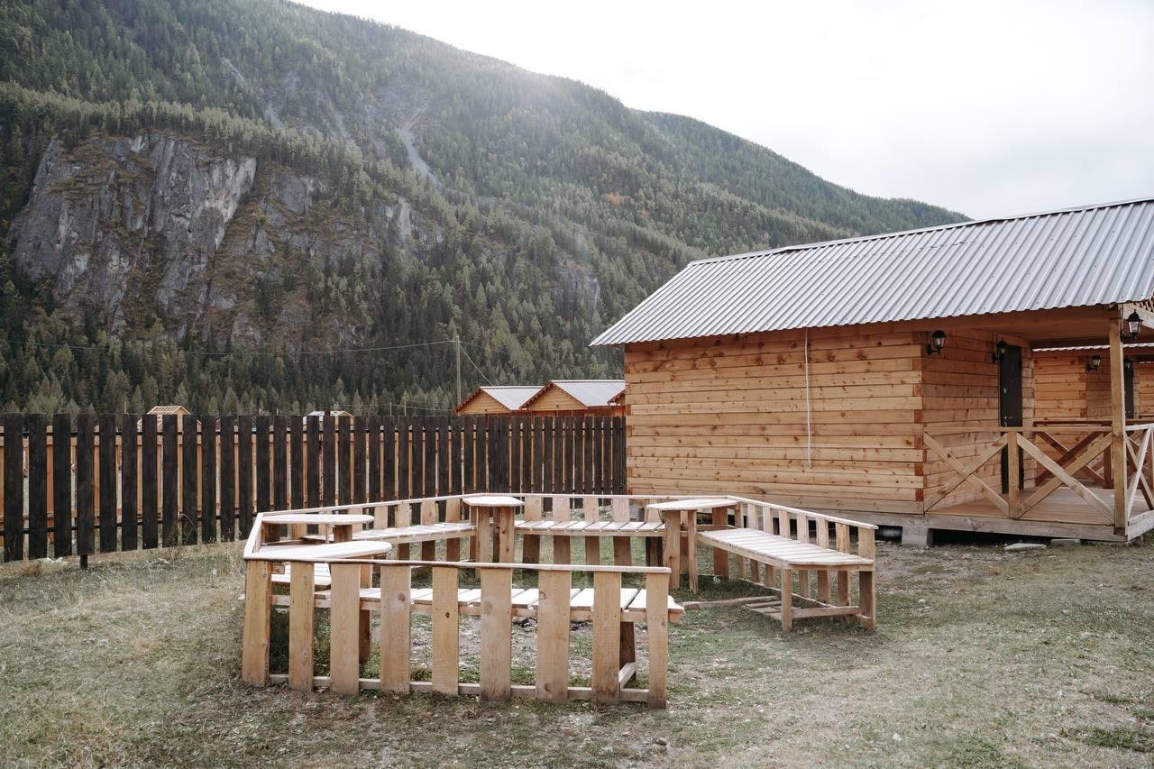 Алтайэкокедр - фото 61