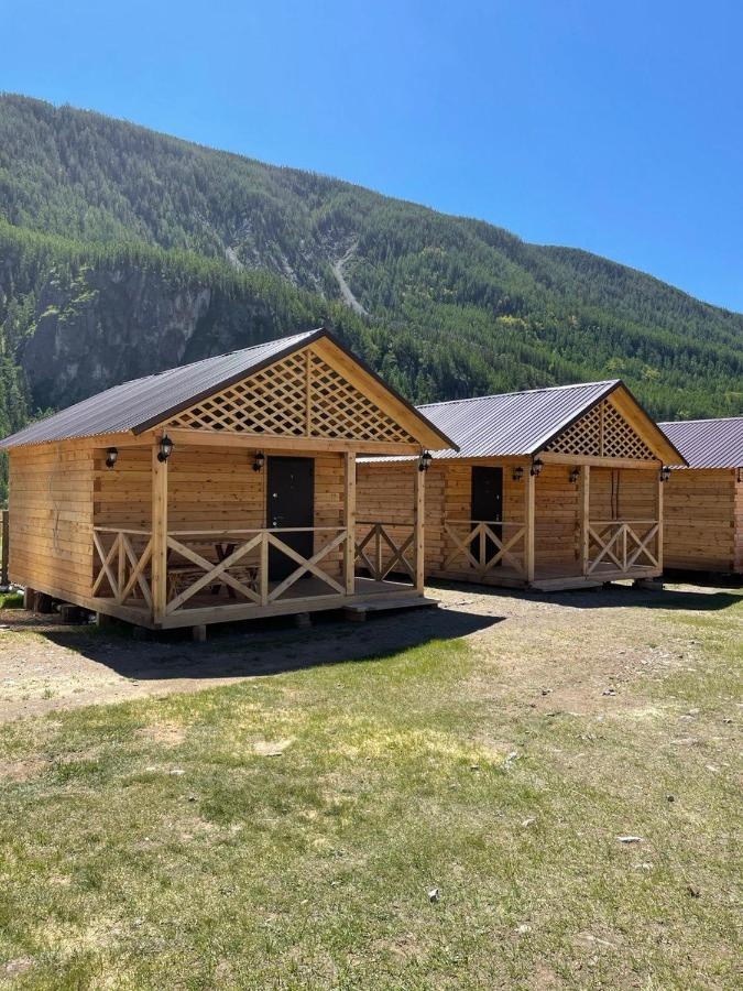 Алтайэкокедр - фото 62