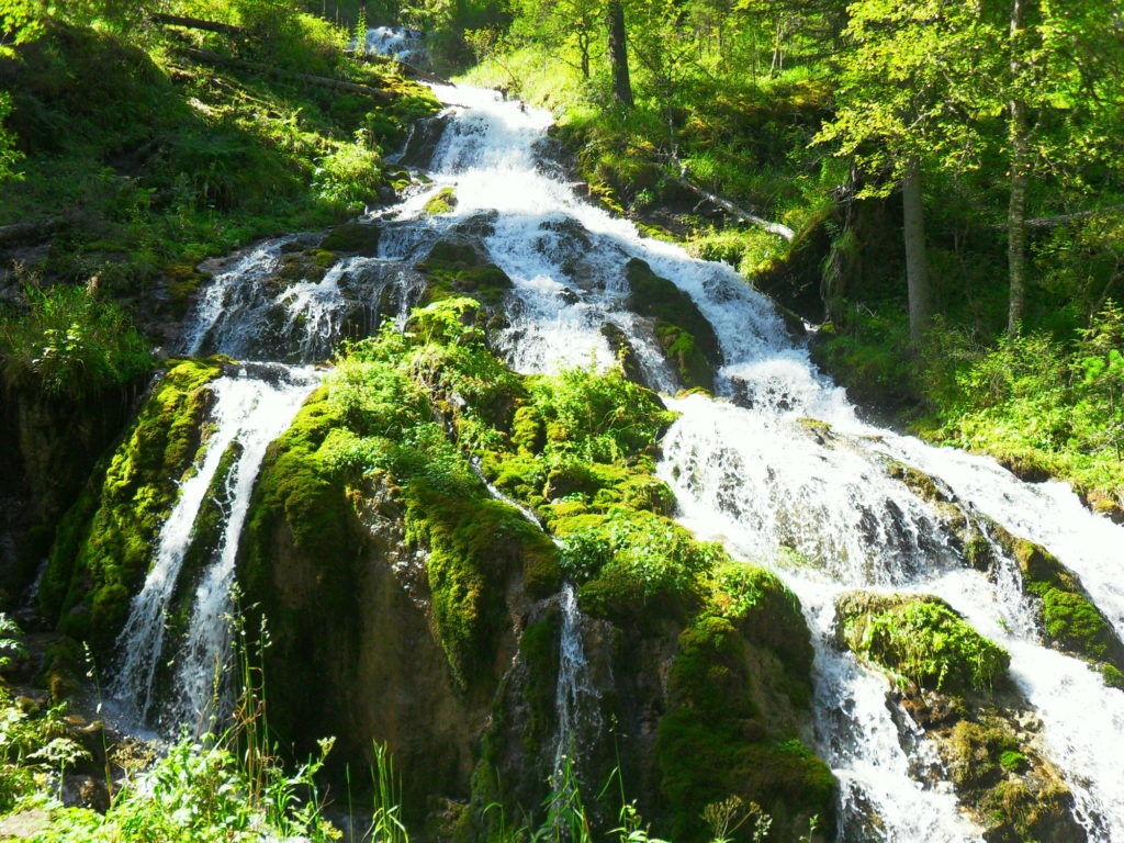 Ареда 1 - фото 12