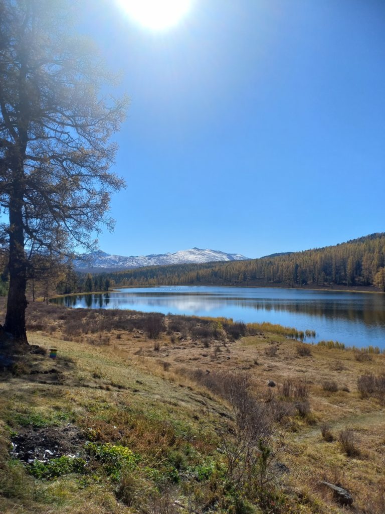 Ареда 1 - фото 21