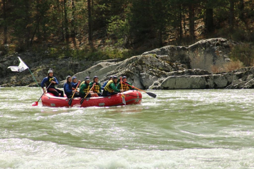 Ареда 1 - фото 36