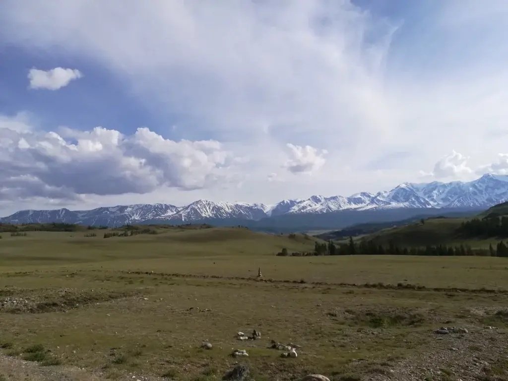 Ареда 1 - фото 39