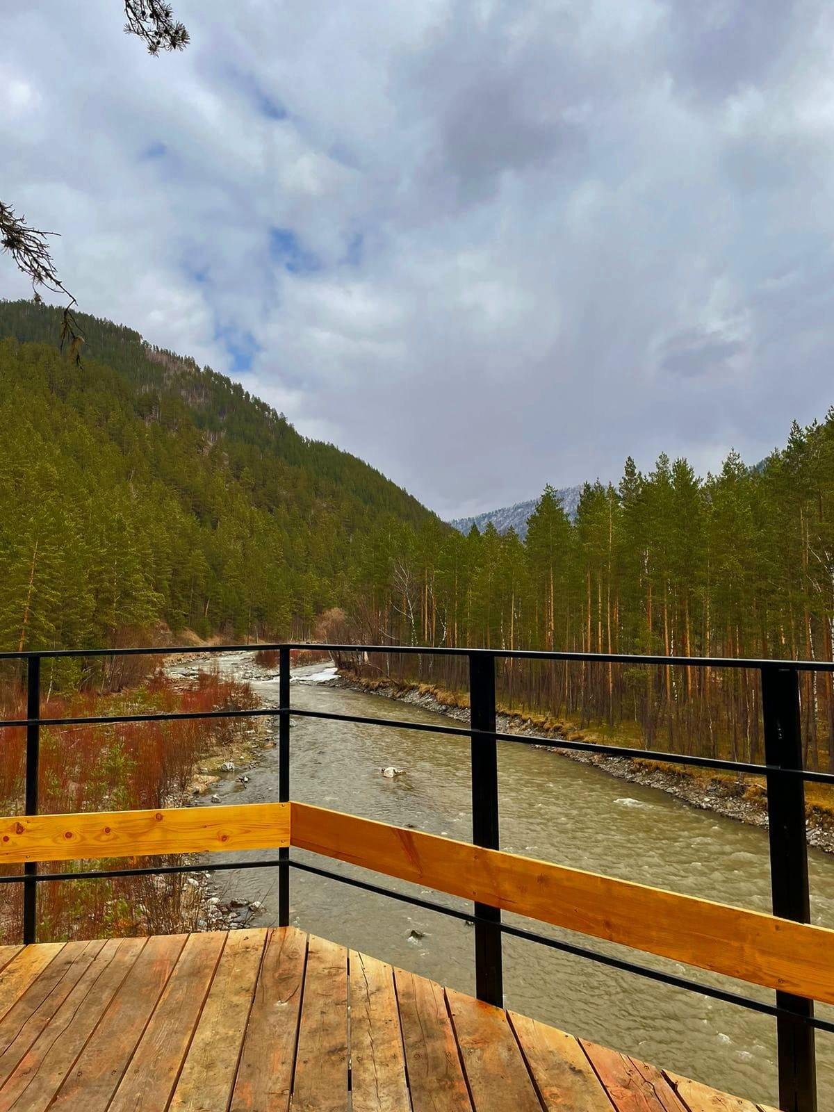 Ареда 1 - фото 49