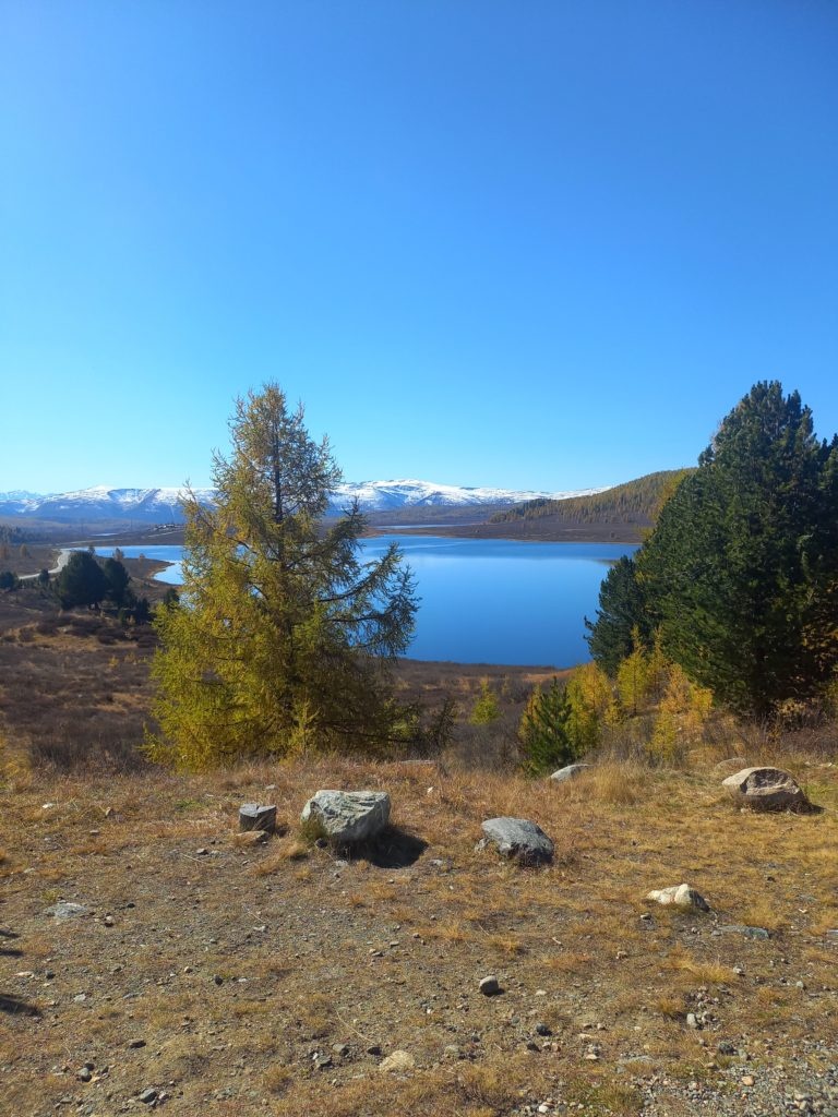 Ареда 1 - фото 68