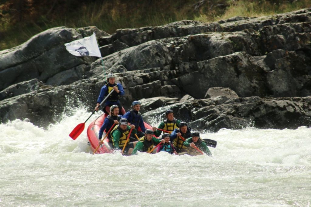 Ареда 1 - фото 70