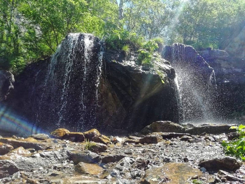 Ареда 1 - фото 75