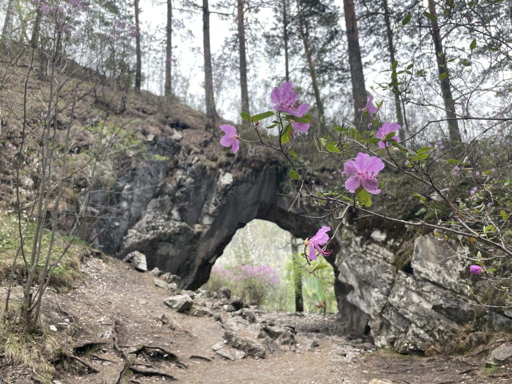 Ареда 1 - фото 84