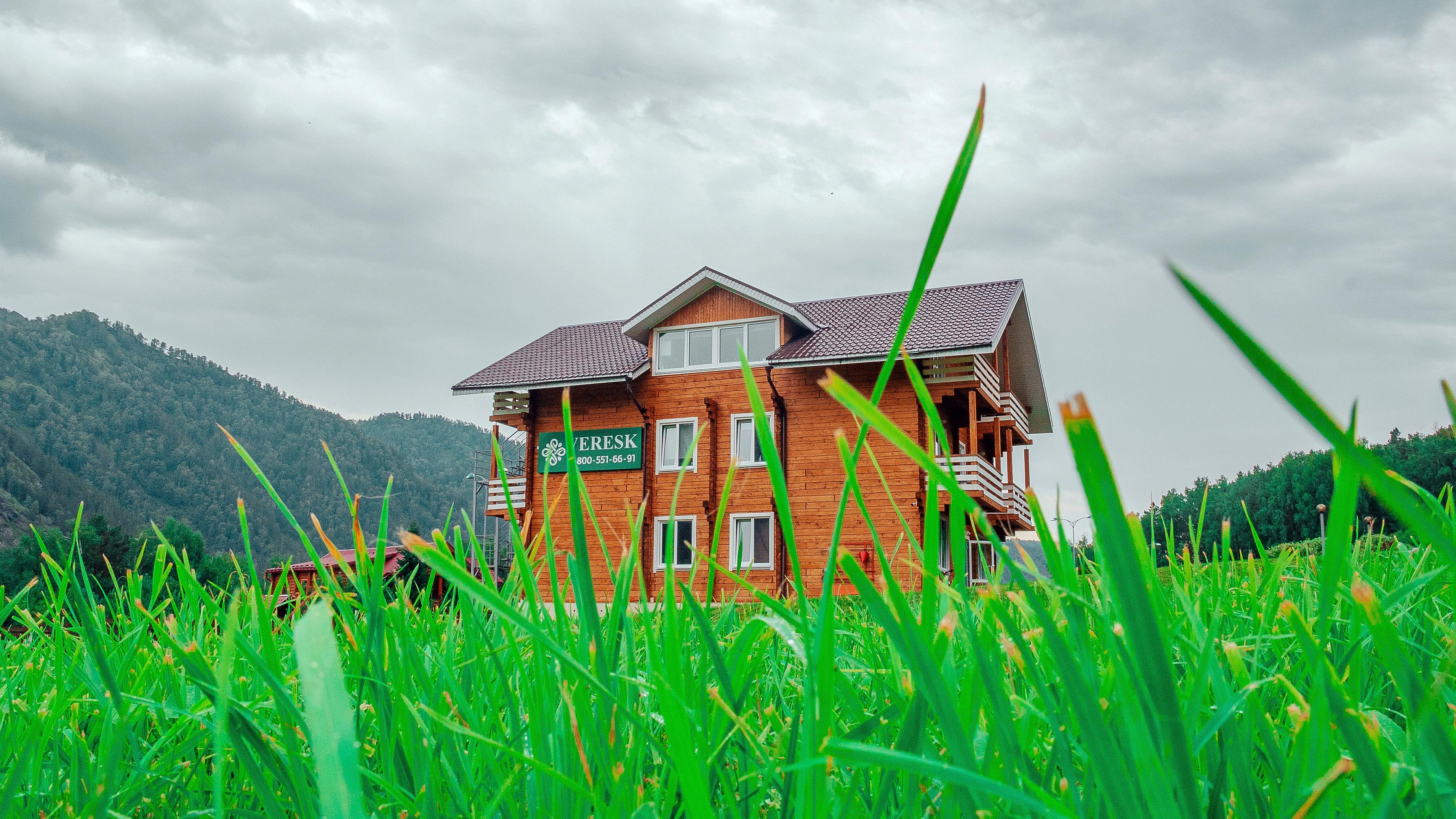 Veresk Altai - фото 7