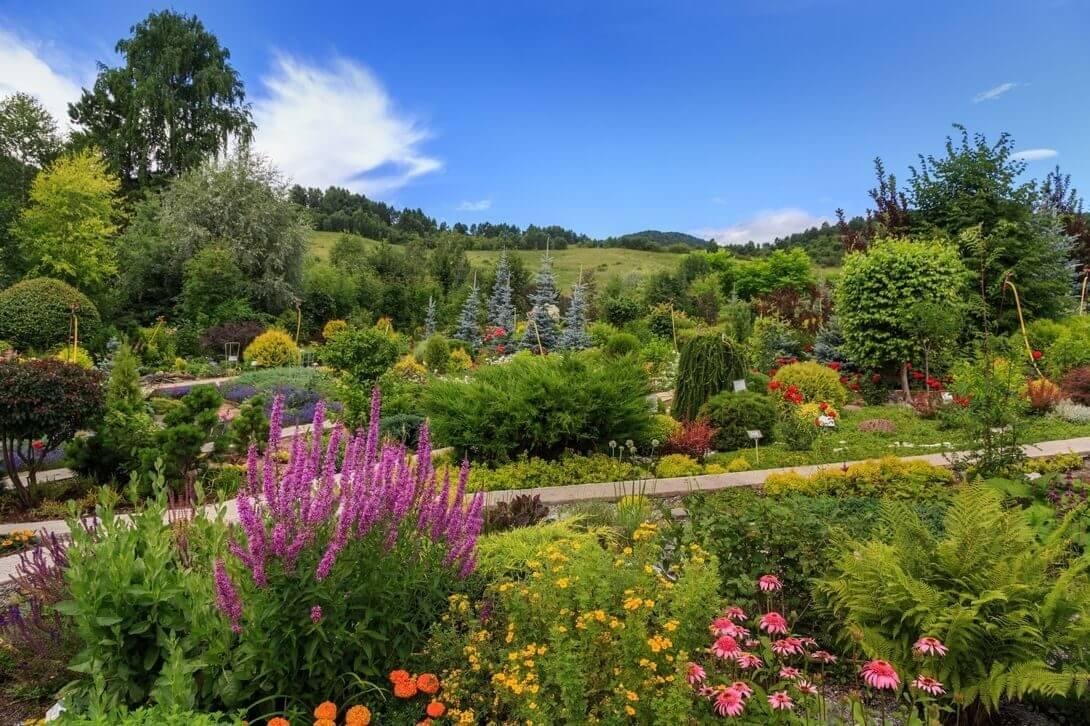 Veresk Altai - фото 19