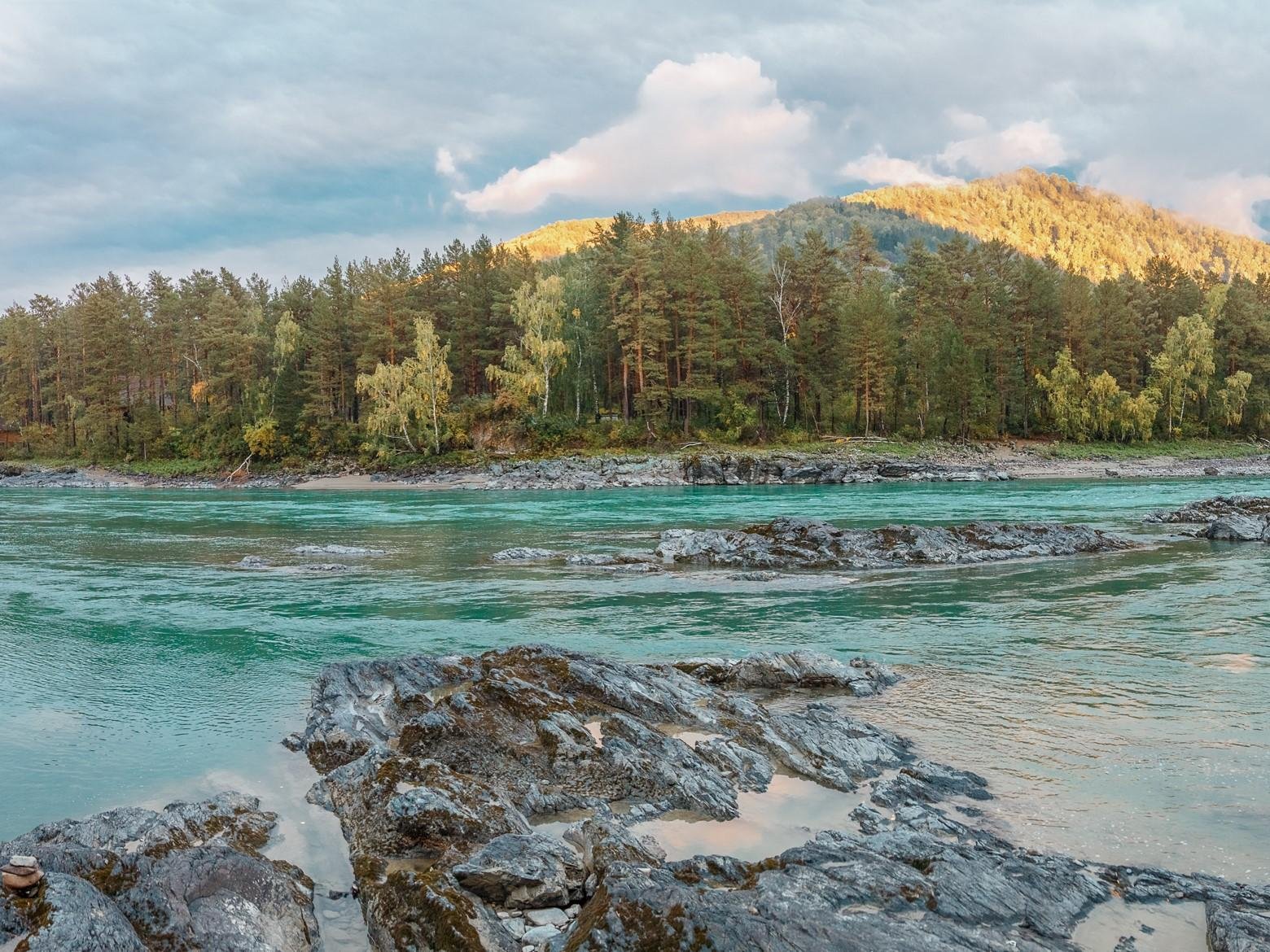 Veresk Altai - фото 28