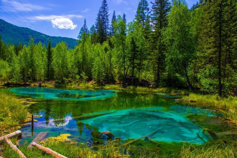 Veresk Altai - фото 29