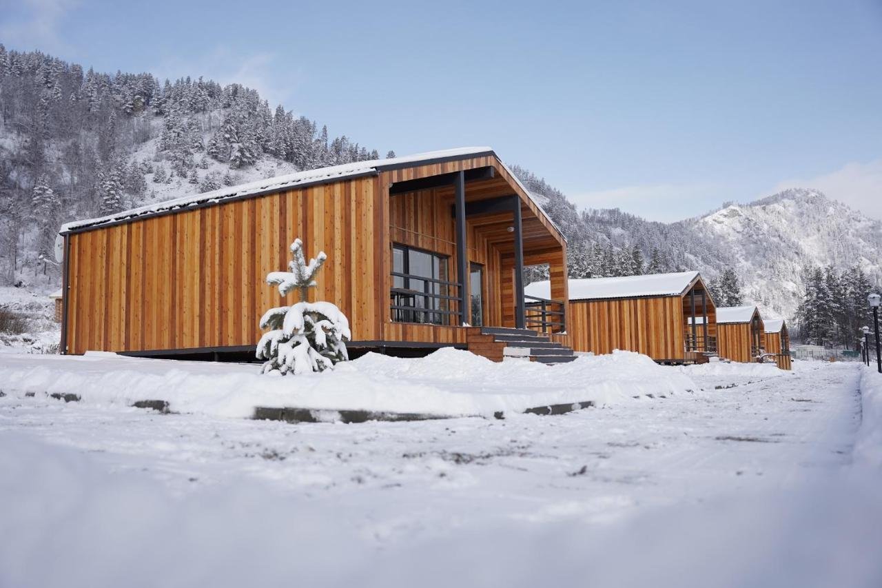 Veresk Altai - фото 40