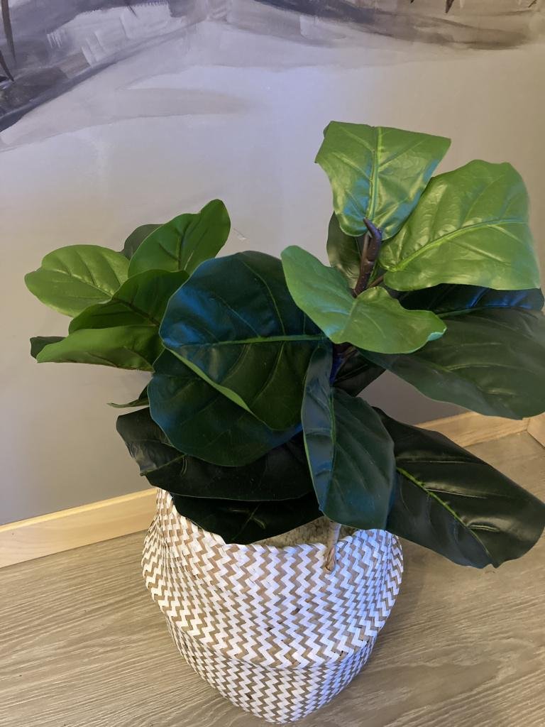 Veresk Altai - фото 48