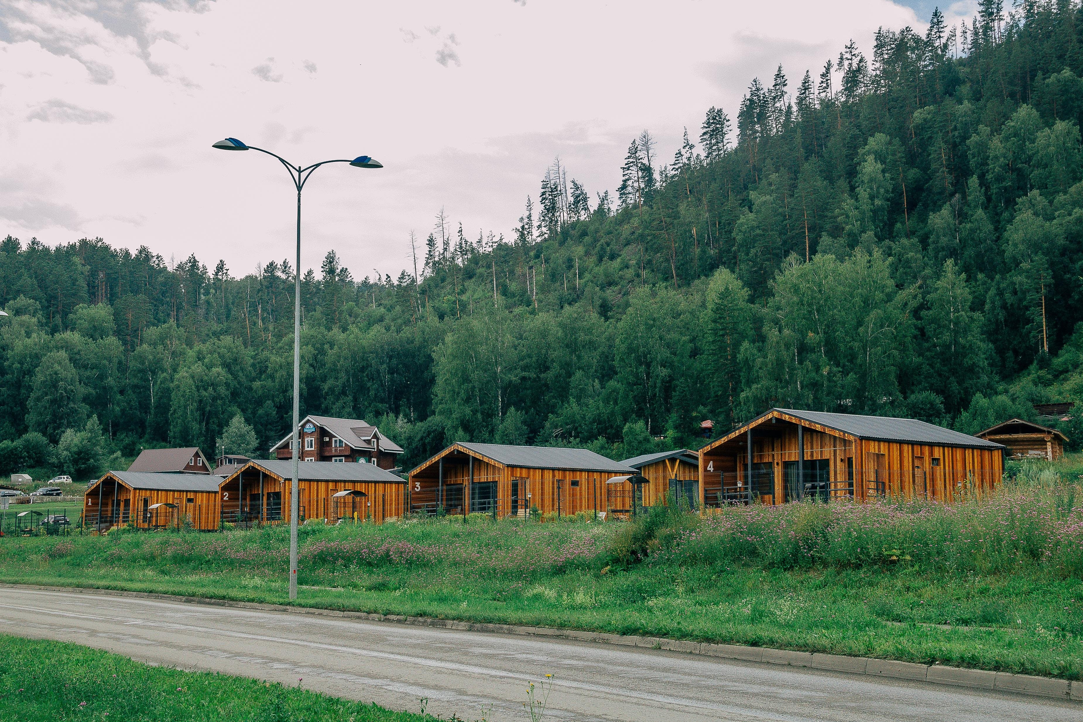 Veresk Altai - фото 52