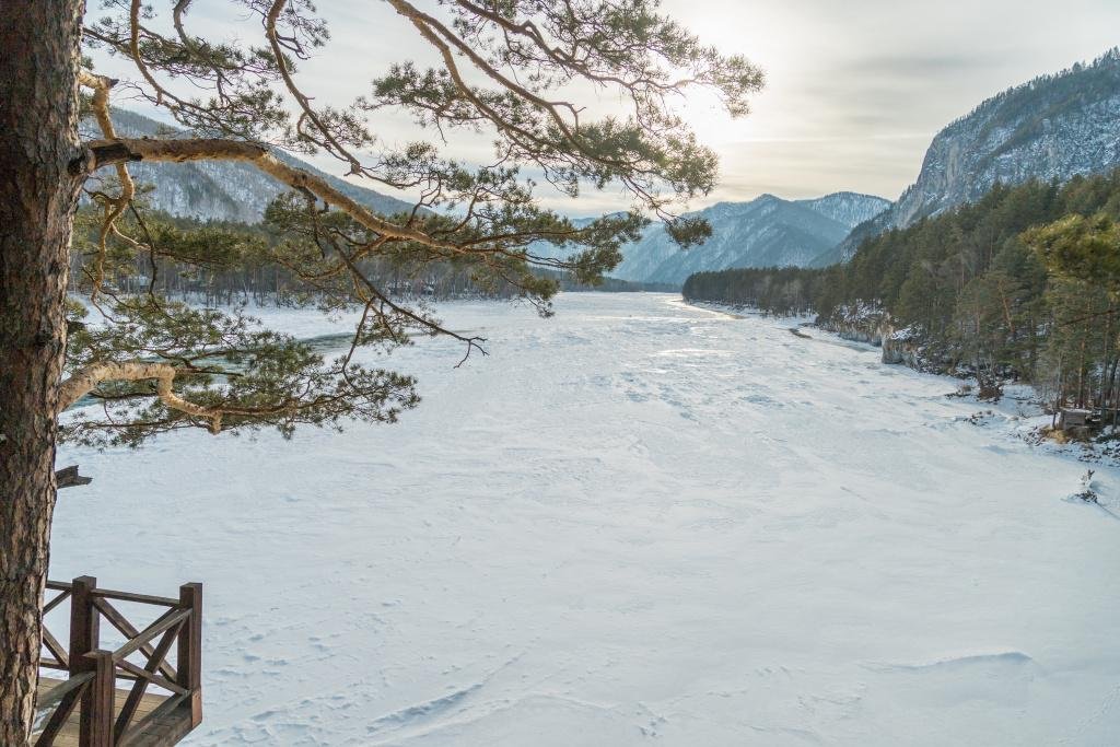 Veresk Altai - фото 58
