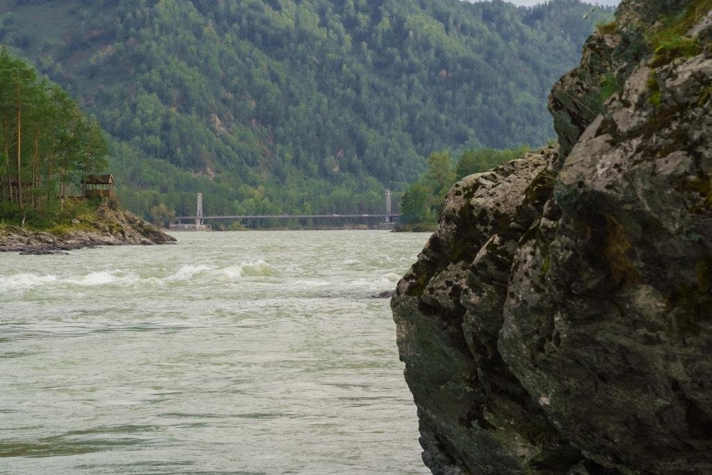 Veresk Altai - фото 85