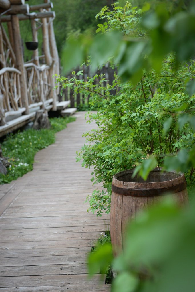 Привал путника - фото 17