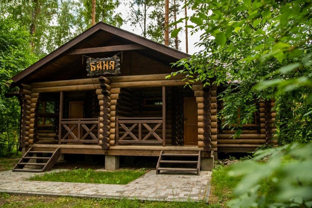 Сосна - фото 4